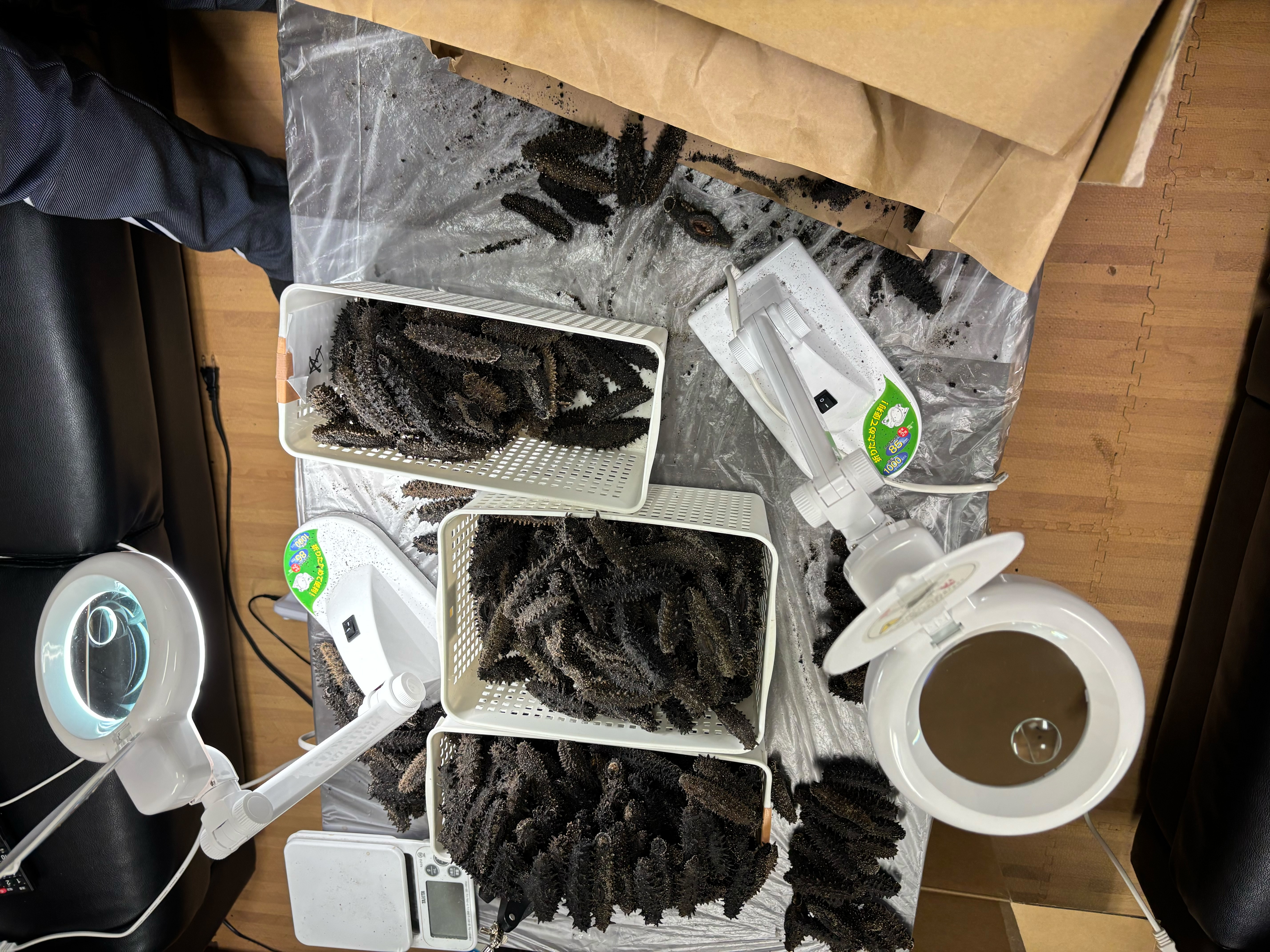 海産物加工・輸出